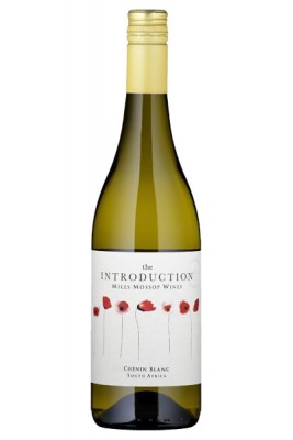 Miles Mossop Introduction Chenin Blanc 2023 Miles Mossop Introduction Chenin Blanc 2023